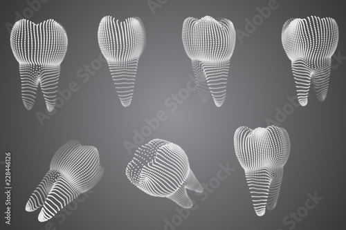 vector set of 3d teeth for dental medicine.