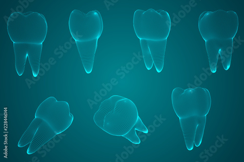 vector set of 3d teeth for dental medicine.