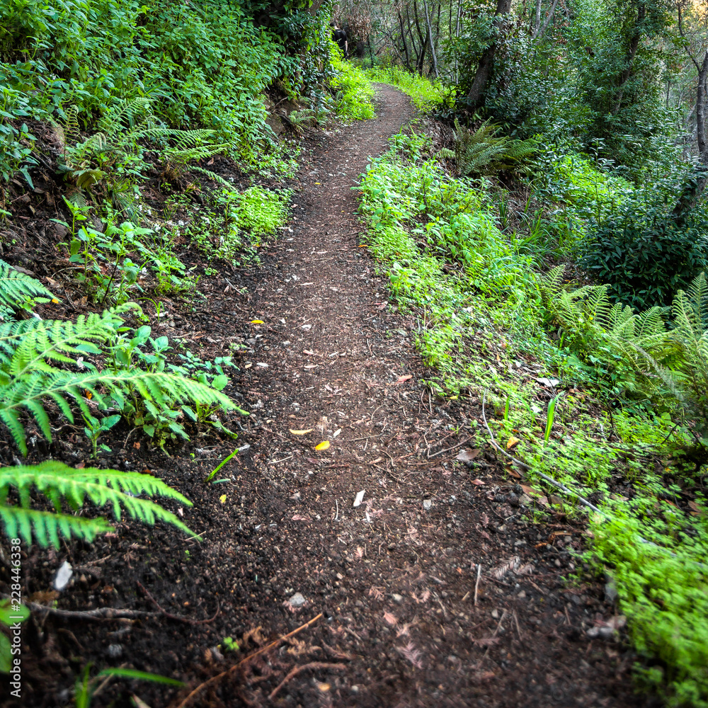 Mountain hiking trail in Big Sur California Mountain hiking trail in Big Sur California