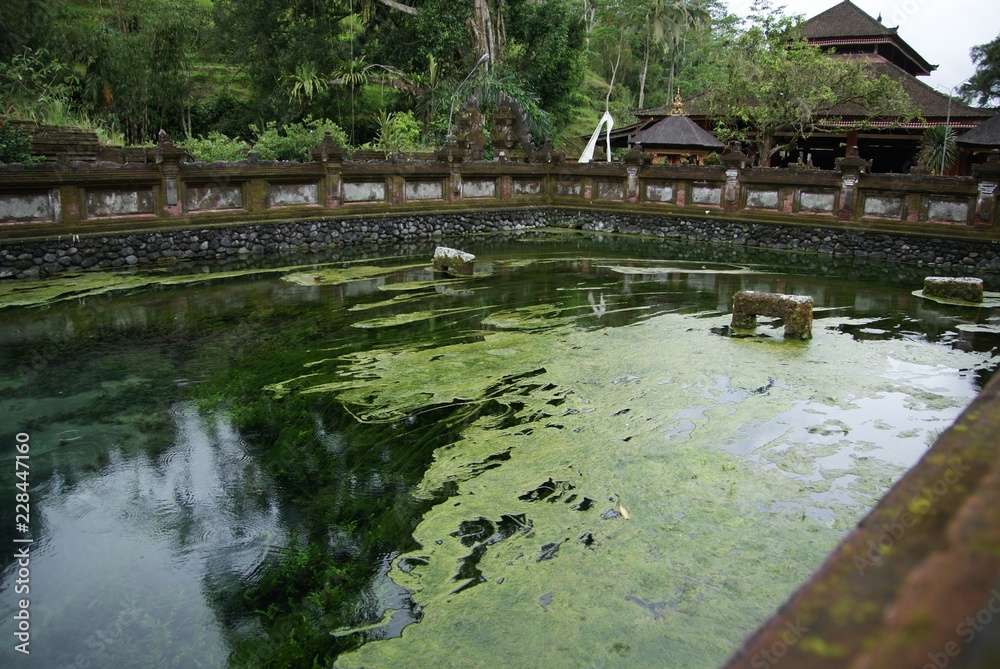 Holy Springs at Puta Tirta Empul, Bali, Indonesia