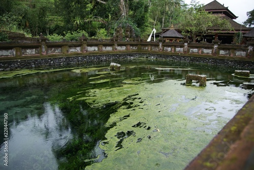 Holy Springs at Puta Tirta Empul, Bali, Indonesia