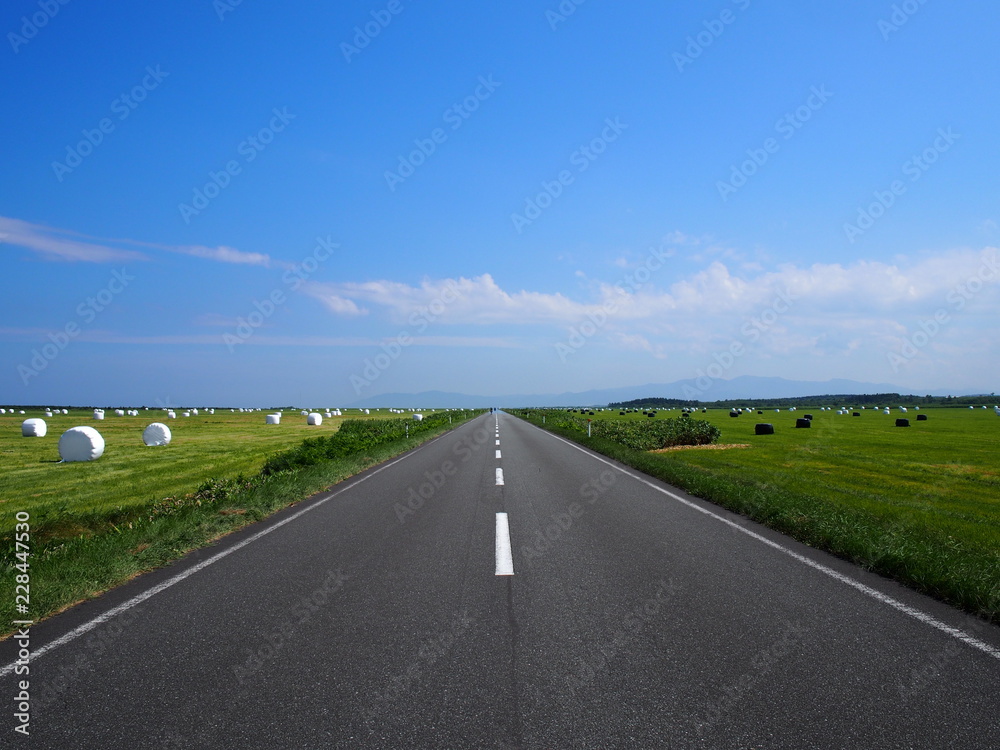 Fototapeta premium OLYMPUS DIGITAL CAMERA