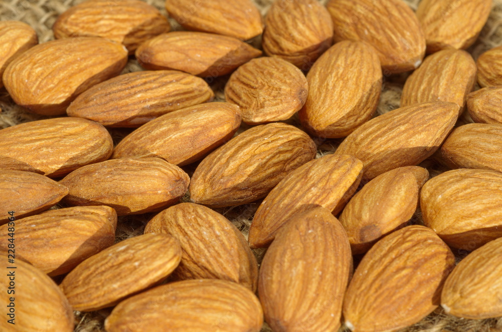 Background from the nuts of the almond Background from the nuts of the almond