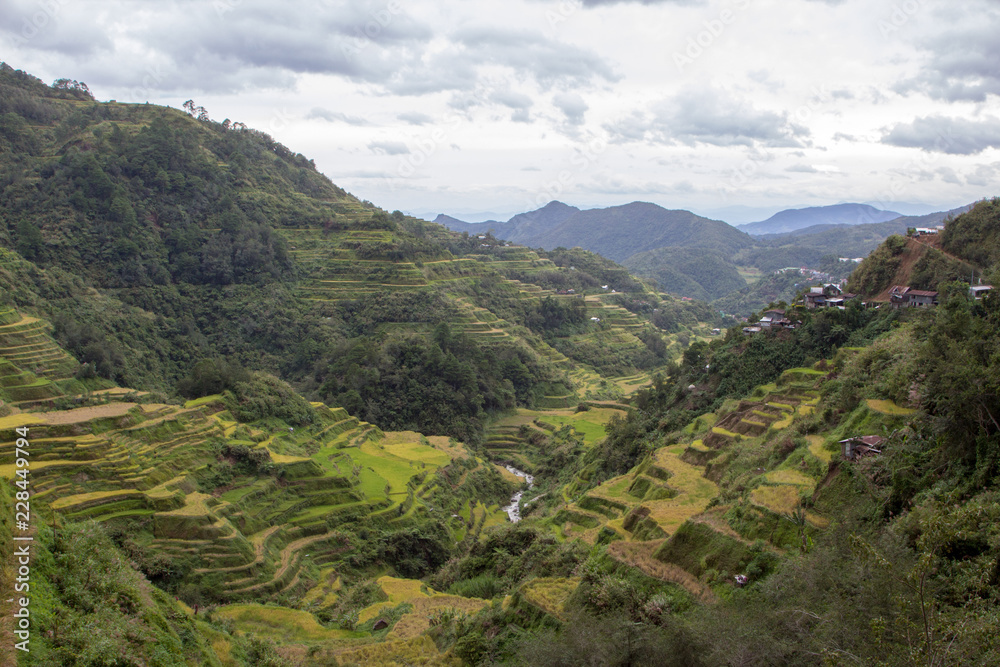 Obraz premium Breathtaking rice terraces in Batad, Banaue, Philippines