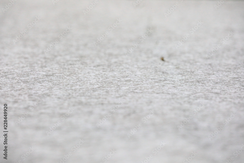 Closeup view on crust of ice over snow Closeup view on crust of ice over snow