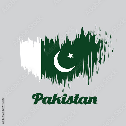 Brush style color flag of Pakistan, white star and crescent on a dark green field, with a vertical white stripe at the hoist with text Pakistan.