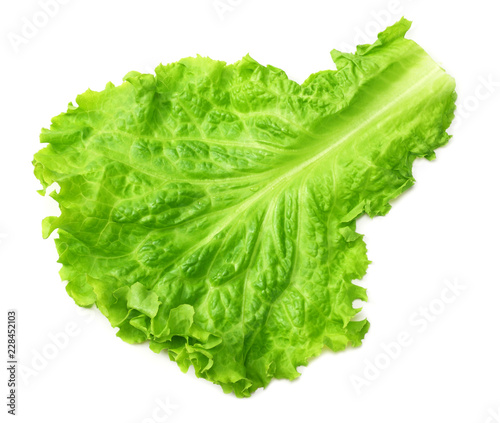 one salad leaf isolated on a white background