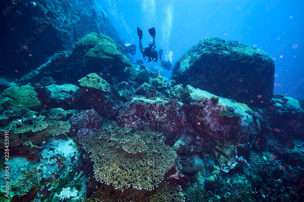 Obraz premium beautiful underwater with the coral reef at Losin diving spot south of Thailand 