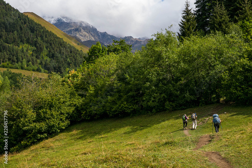 A green meadow and hikers
