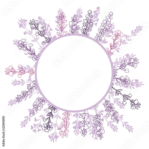 Fototapeta Naklejka Na Ścianę i Meble -  Vector frame with hand drawn  lavender.Sketch  illustration.