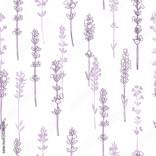 Fototapeta Naklejka Na Ścianę i Meble -  Hand drawn  lavender. Seamless vector pattern