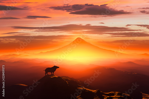 富士山の日の出とイノシシのシルエット © bigfoot