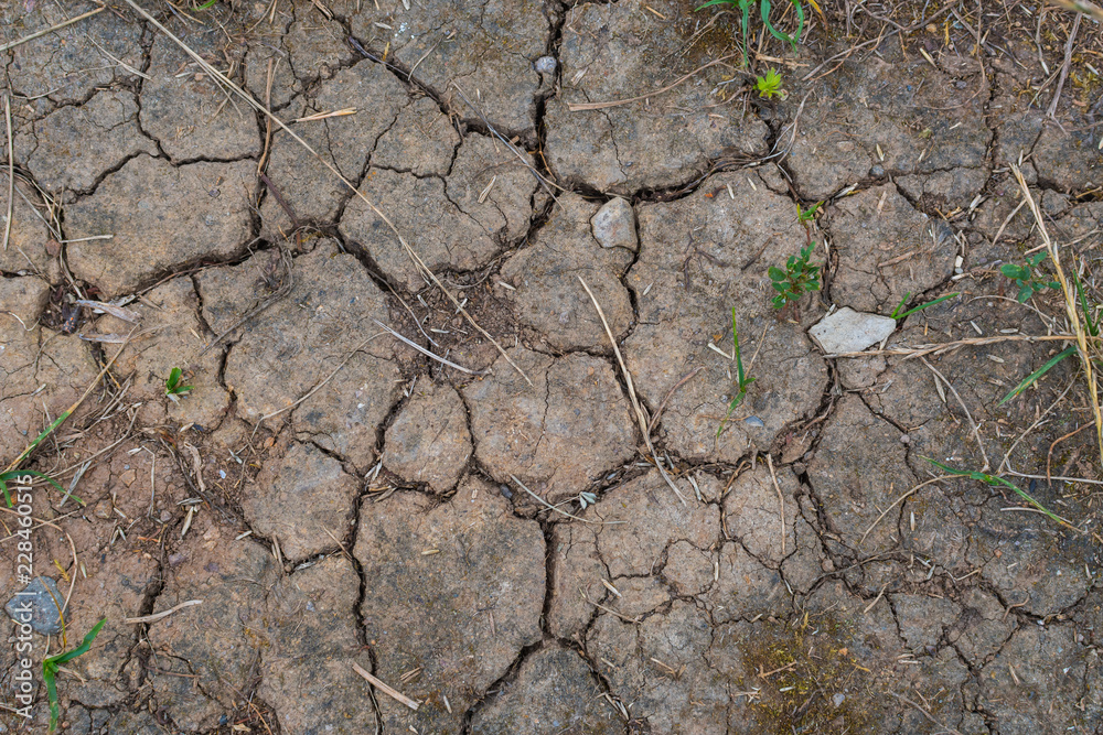 cracked soil texture cracked soil texture