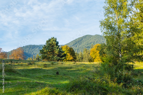Fototapeta Naklejka Na Ścianę i Meble -  Alpenwiese im Herbst