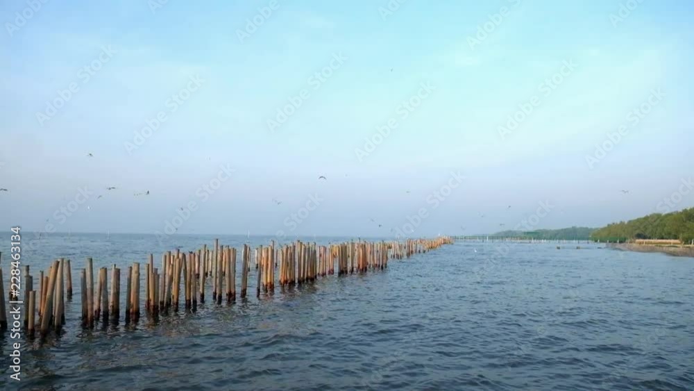 Old Antique Bamboo Wave Protection Wall in the Sea in the Morning. Old Antique Bamboo Wave Protection Wall in the Sea in the Morning.