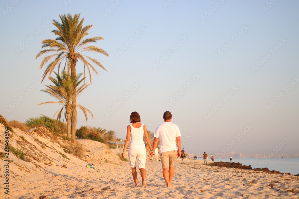 adult couple go by the hand on beach