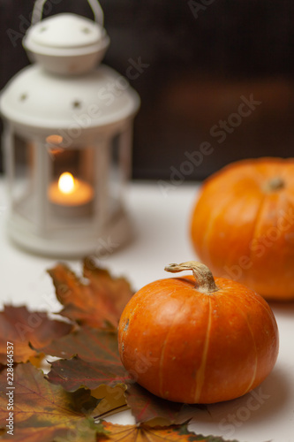 Two orange pumpkins on a dark brown, white wooden background. Decorative lantern with a burning candle. Near lie maple leaves. Autumn composition. Halloween. Harvest. Postcard