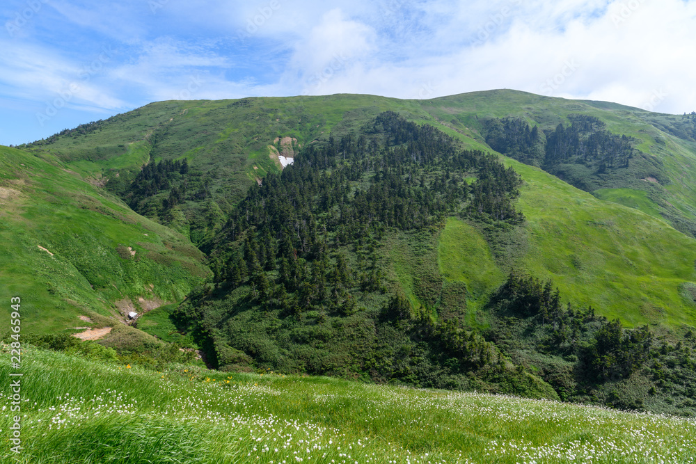 夏の巻機山 夏の巻機山