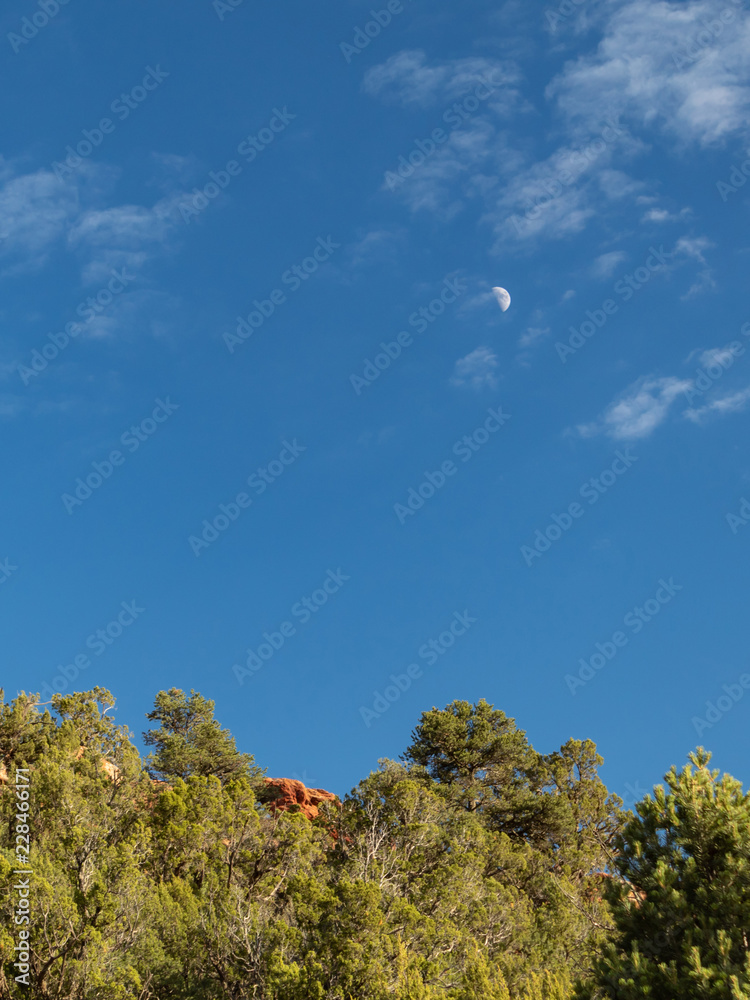 Fototapeta premium Moon over Mountain