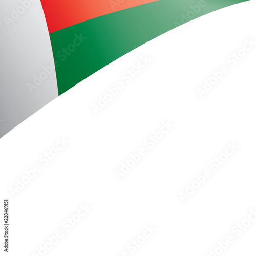 Madagascar flag  vector illustration on a white background