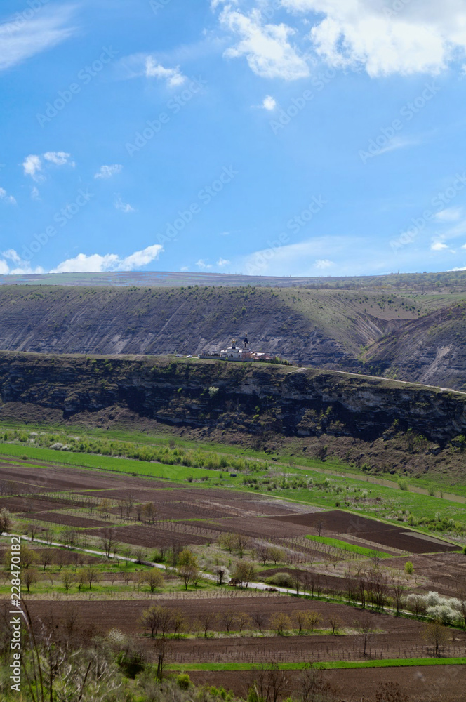 Naklejka premium landscape on the hill