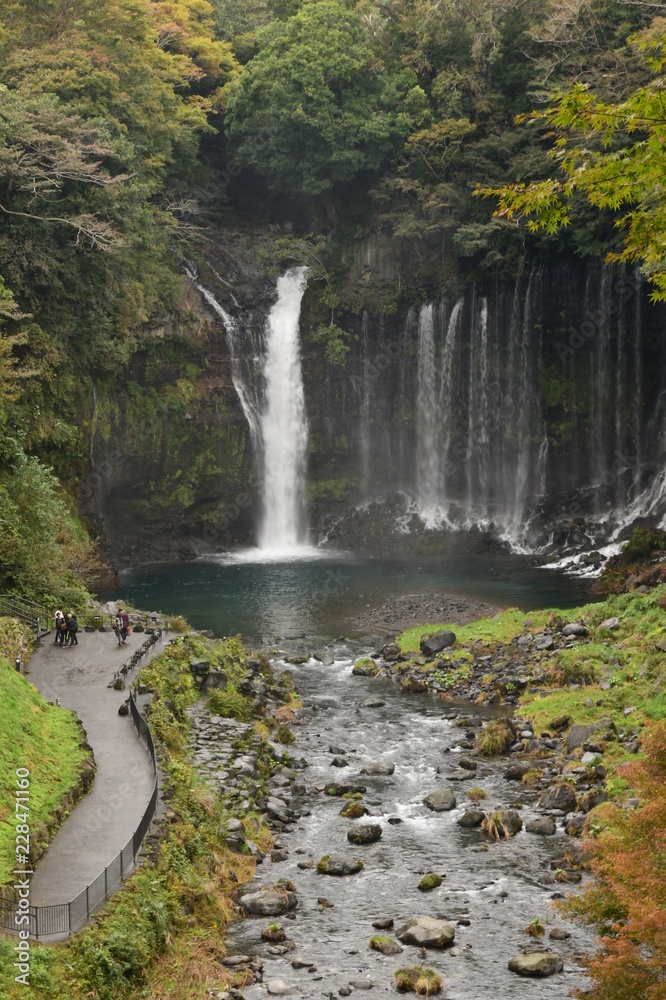 Obraz premium 白糸の滝