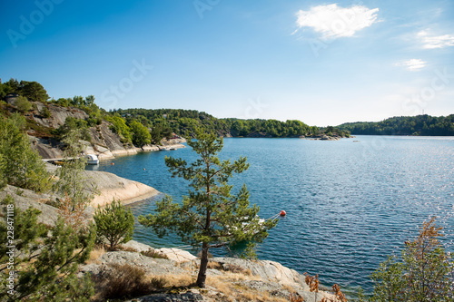 Fototapeta Serene scandinavian summer landscape of forest and fjord on south coast of Norway