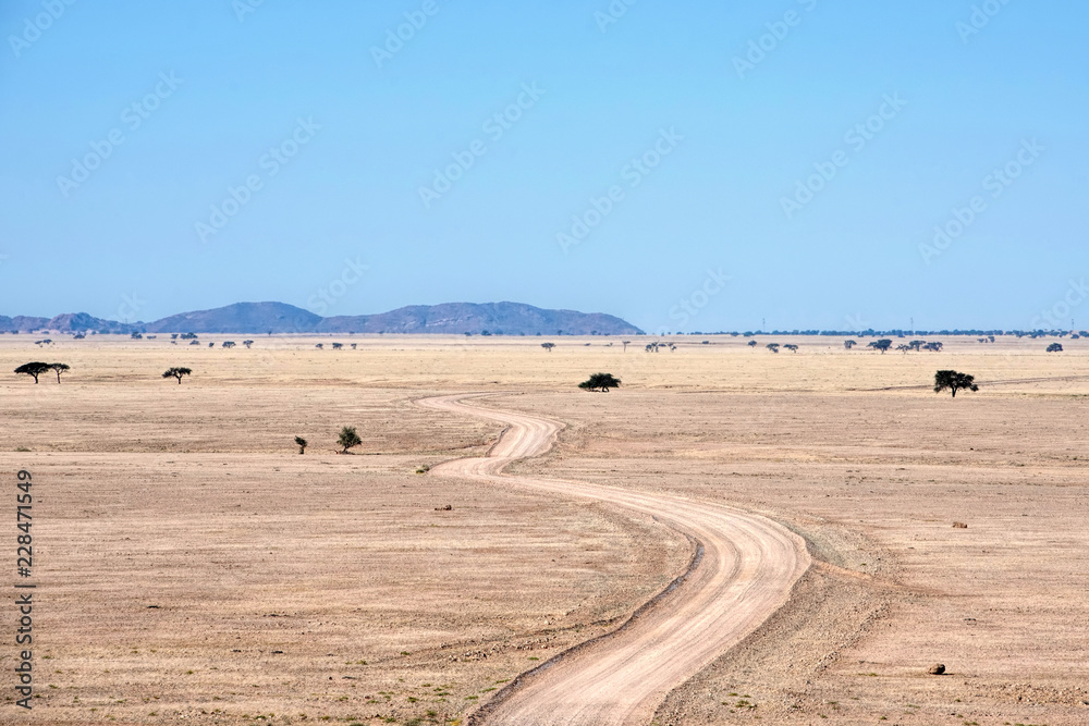 road in the Namib desert