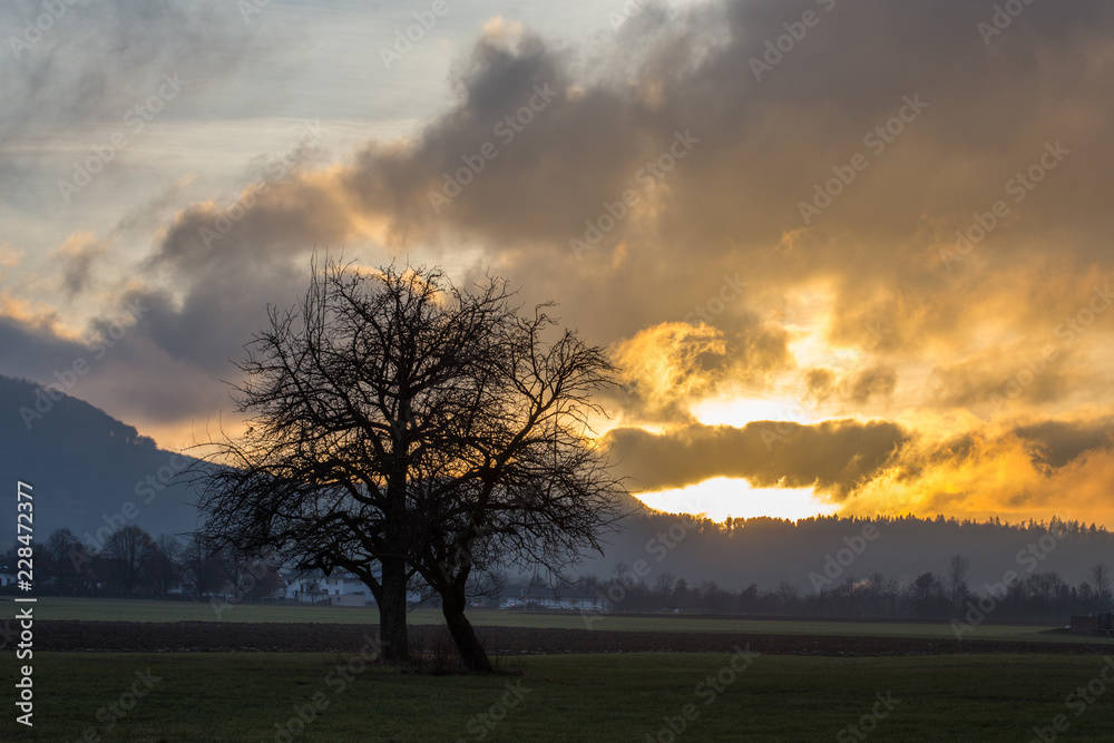 Abendstimmung im Vorland der Schwäbischen Alb Abendstimmung im Vorland der Schwäbischen Alb