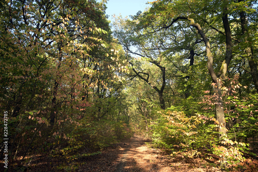 volkspark jungfernheide volkspark jungfernheide