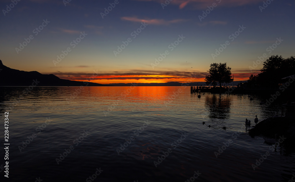 Sky. Sunset. Color. Lake. Vevey. Silhouette. Ducks