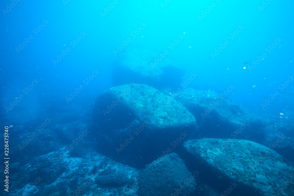 beautiful underwater with the coral reef at Losin diving spot south of Thailand beautiful underwater with the coral reef at Losin diving spot south of Thailand