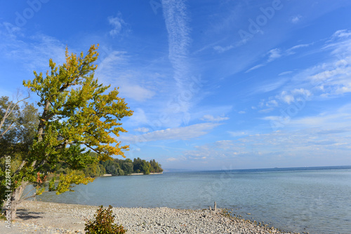 Insel Mainau im Bodensee  photo