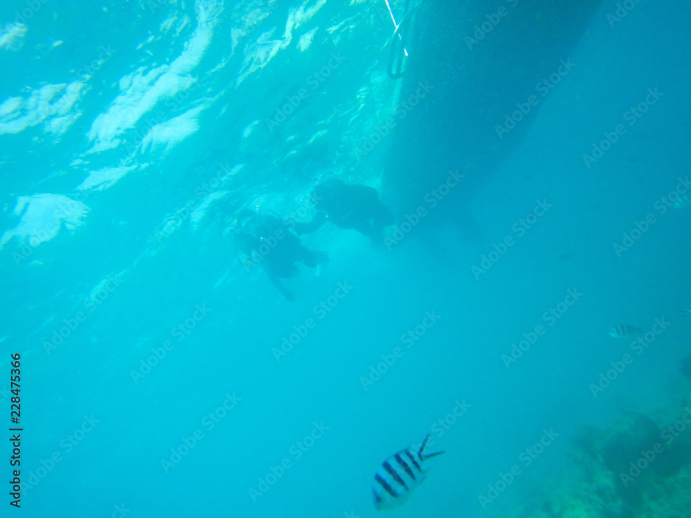 Fototapeta premium 沖縄の海