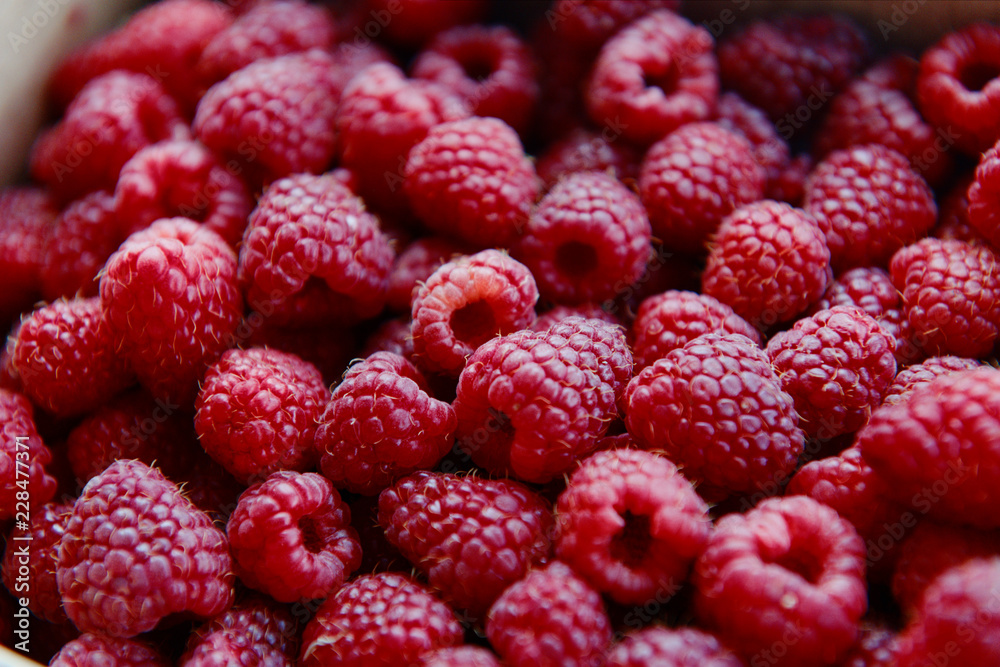 fruit, raspberry, food, berry, red, ripe, sweet, raspberries, strawberry, fresh, berries, healthy, dessert, fruits, organic, diet, juicy, delicious, closeup, freshness, natural, wild, nature, texture, fruit, raspberry, food, berry, red, ripe, sweet, raspberries, strawberry, fresh, berries, healthy, dessert, fruits, organic, diet, juicy, delicious, closeup, freshness, natural, wild, nature, texture,