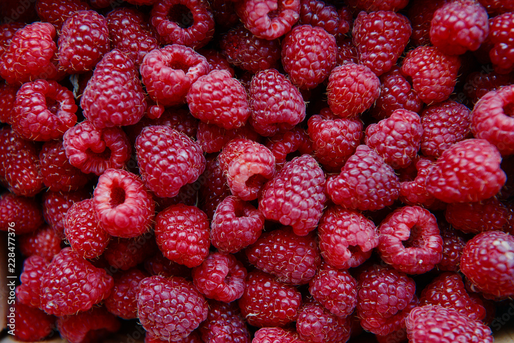 fruit, raspberry, food, berry, red, ripe, fresh, sweet, raspberries, berries, healthy, strawberry, diet, dessert, juicy, organic, delicious, texture, wild, fruits, closeup, freshness, natural, nature, fruit, raspberry, food, berry, red, ripe, fresh, sweet, raspberries, berries, healthy, strawberry, diet, dessert, juicy, organic, delicious, texture, wild, fruits, closeup, freshness, natural, nature,