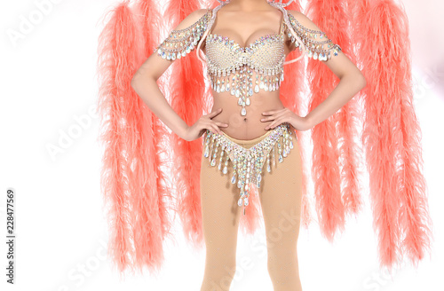 Canvas Print Feather Wings with colorful decorative costume sexy for dancer cabaret Show girl