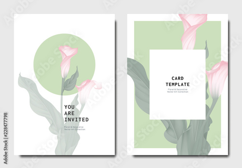 Fototapeta Naklejka Na Ścianę i Meble -  Botanical invitation card template design, pink calla lily flowers with leaves on green and white background, minimalist vintage style