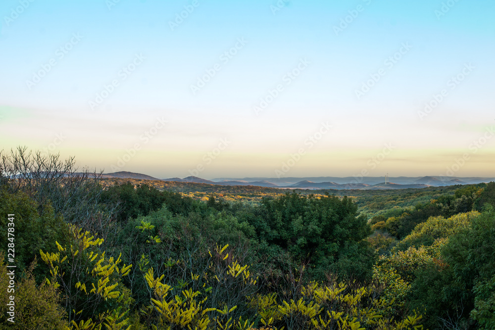 sunset over green forest