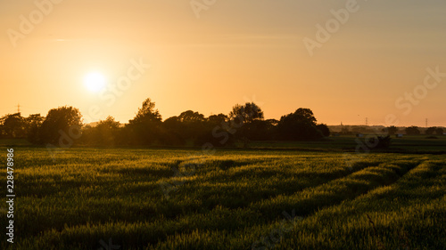 golden Lancashire fields