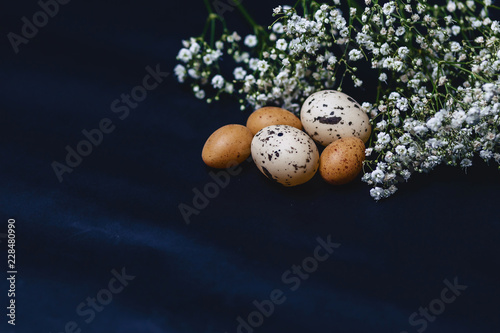 gipsophila and small eggs on simple gray background photo