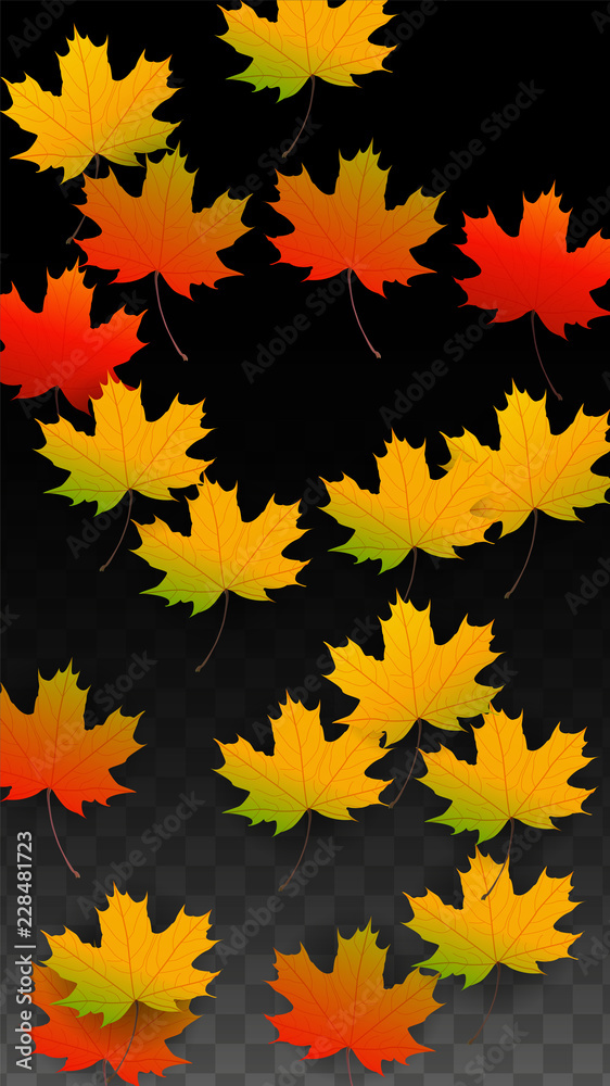 September Vector Background with Golden Falling Leaves. Autumn Illustration with Maple Red, Orange, Yellow Foliage. Isolated Leaf on Transparent Background. Bright Swirl. Suitable for Posters. September Vector Background with Golden Falling Leaves. Autumn Illustration with Maple Red, Orange, Yellow Foliage. Isolated Leaf on Transparent Background. Bright Swirl. Suitable for Posters.