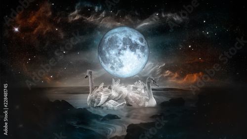 Couple of white swans dancing in the landscape of night sea with fool moon and galaxy stars background.