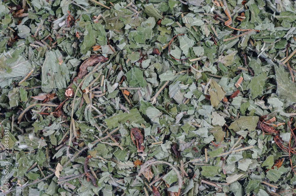 collection of dried herbs as a background collection of dried herbs as a background
