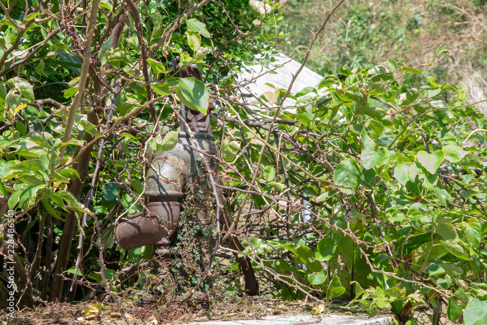 Obraz premium 沖縄の古民家