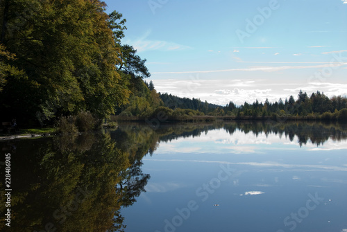 Moorsee  Weiher  Herbst  Wasser  See  Himmel  blau  weiss