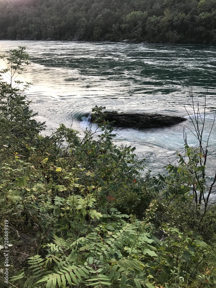 Rock in river Rock in river