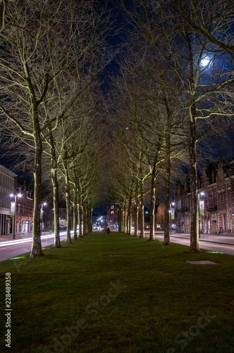Den Bosch, Netherlands, by Night with a moon shining through the trees