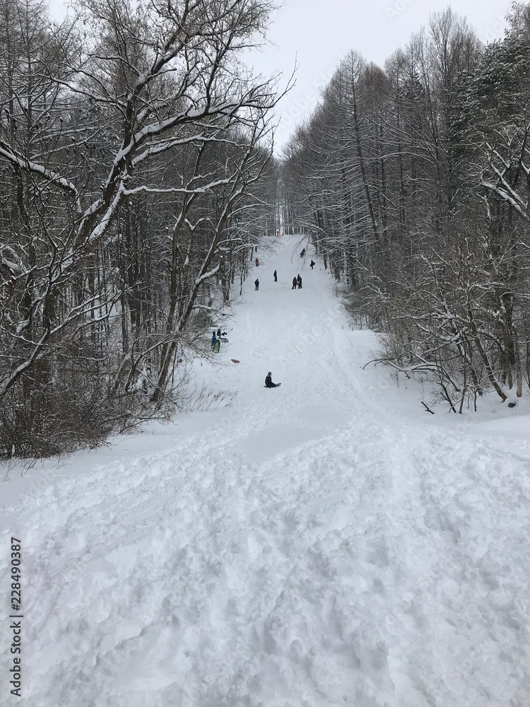 Sleding trail Sleding trail