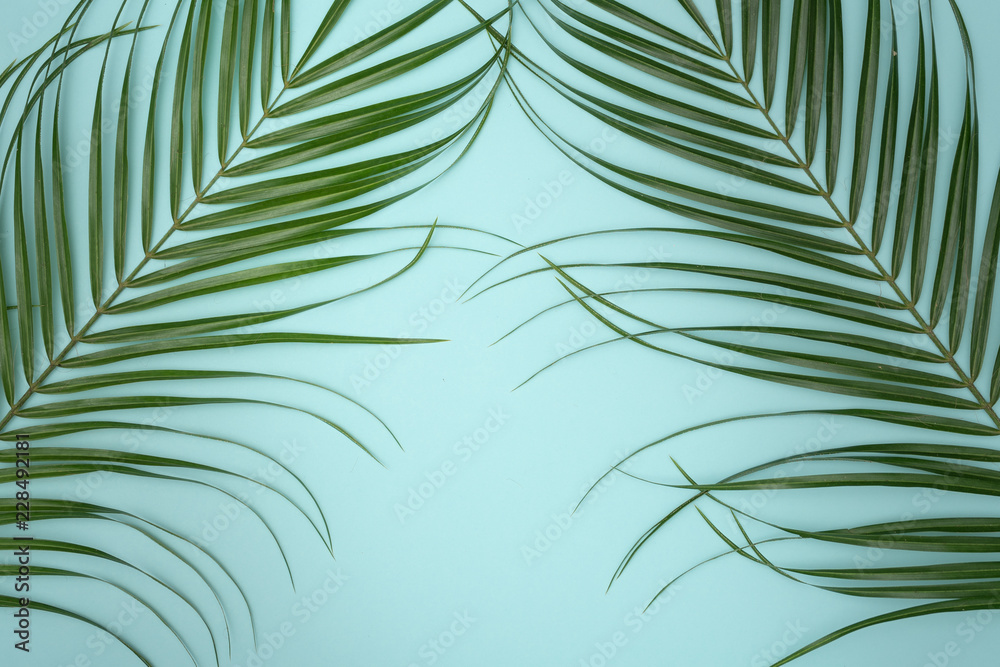 Creative layout made of colorful tropical leaves on white background. Minimal summer composition. Exotic concept with copy space. Border arrangement. Creative layout made of colorful tropical leaves on white background. Minimal summer composition. Exotic concept with copy space. Border arrangement.